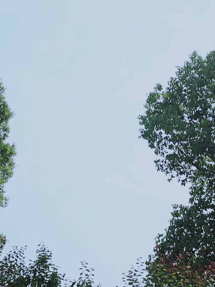 Vidéo